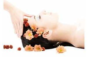 黛詩菲爾 以專業匠心，開啟您的美麗財富與健康生活新篇章